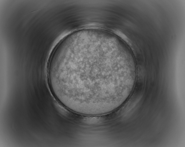 X0000088161474200705221551