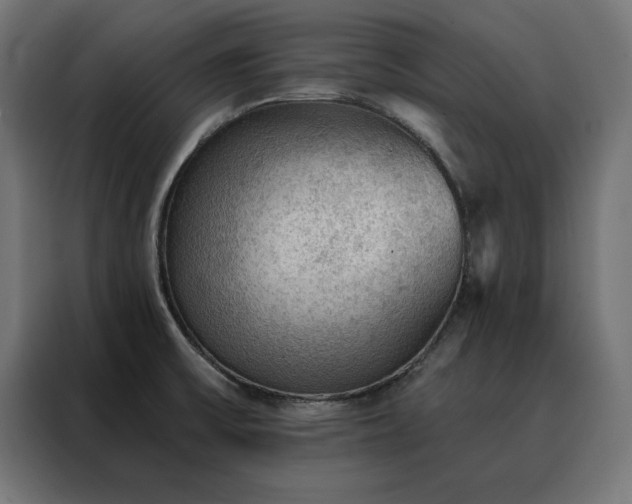 X0000088161475200705221551