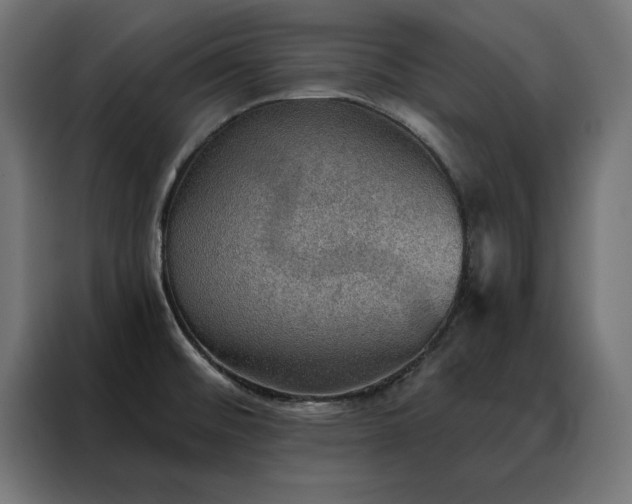 X0000088161476200705221551