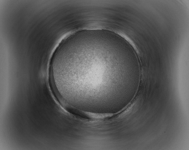 X0000088161477200705221551