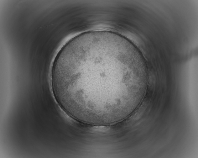 X0000088161478200705221551