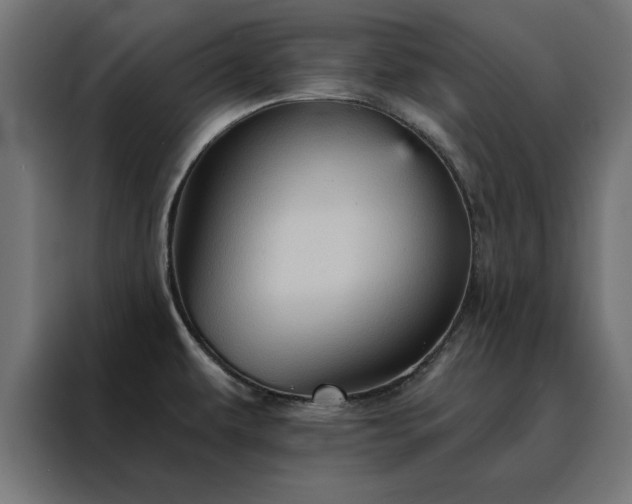 X0000088161479200705221551