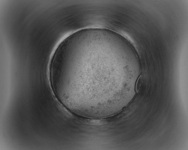 X0000088161480200705221551