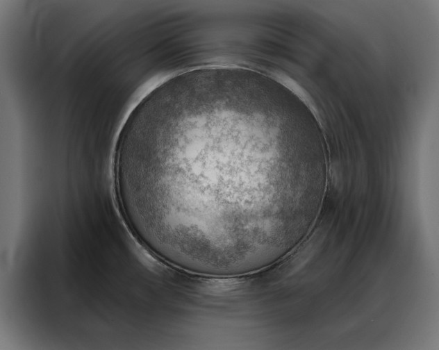 X0000088161482200705221551