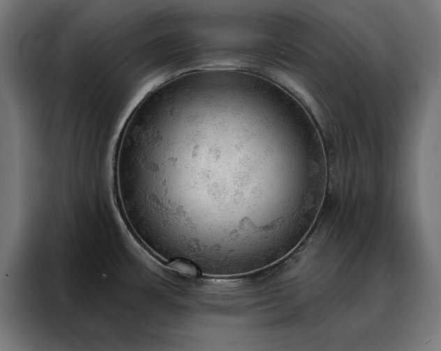 X0000088161483200705221551