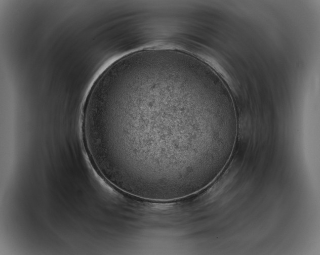 X0000088161484200705221551