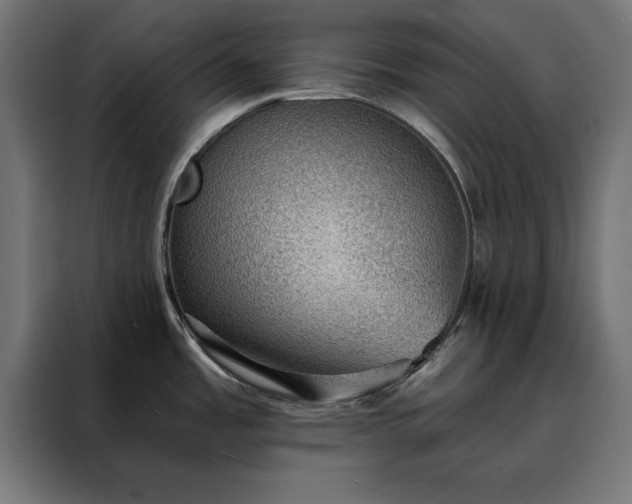 X0000088161485200705221551