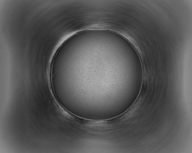 X0000088161486200705221551