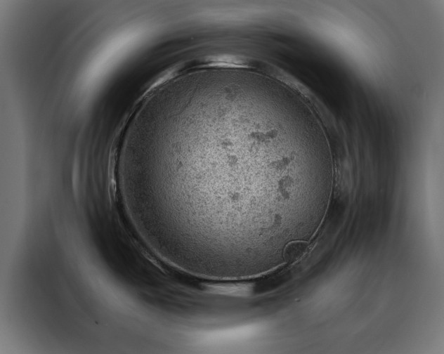 X0000088161487200705221551