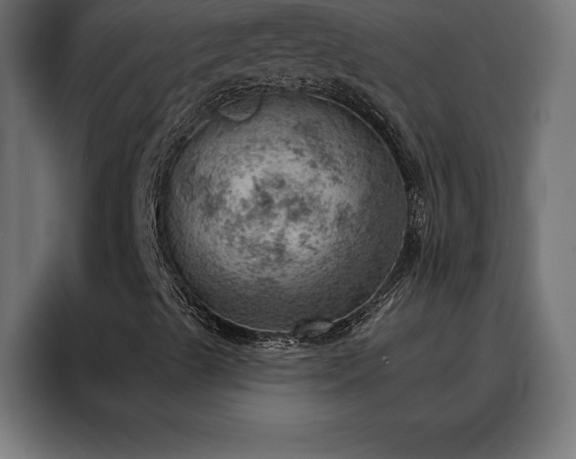 X0000088161489200705221550