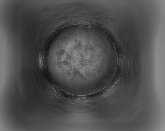 X0000088161490200705221550