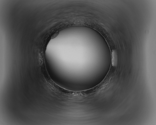 X0000088161491200705221550