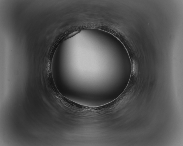 X0000088161492200705221550