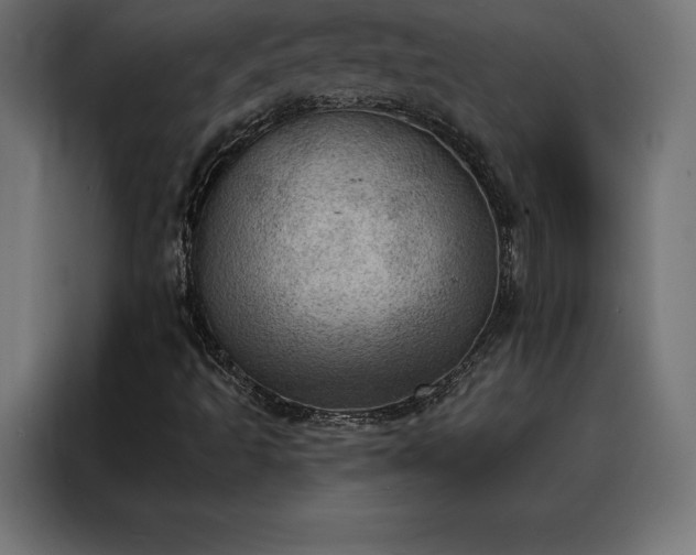 X0000088161493200705221550