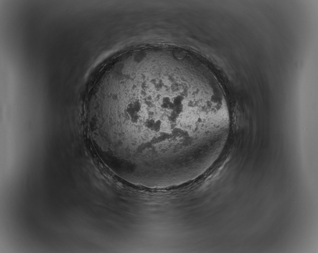 X0000088161494200705221550