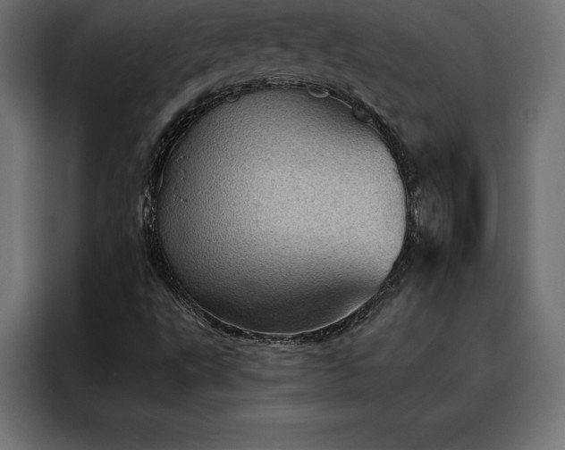 X0000088161495200705221550