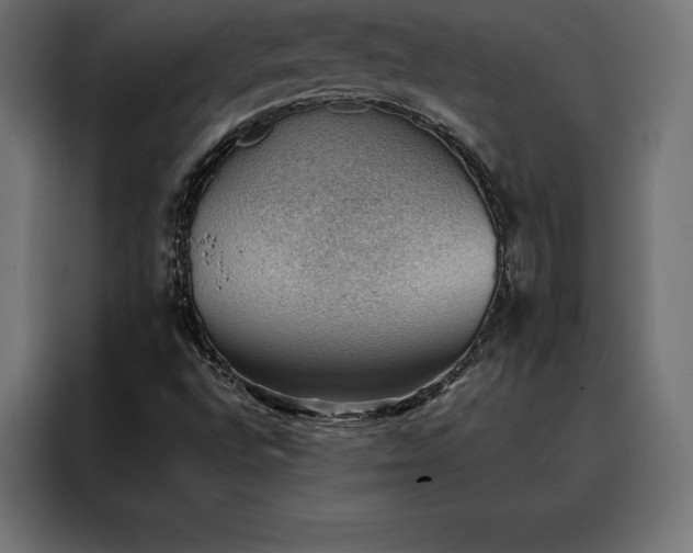 X0000088161496200705221550
