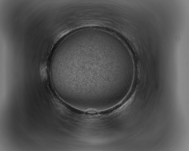 X0000088161497200705221550