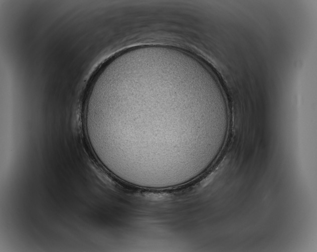 X0000088161498200705221550