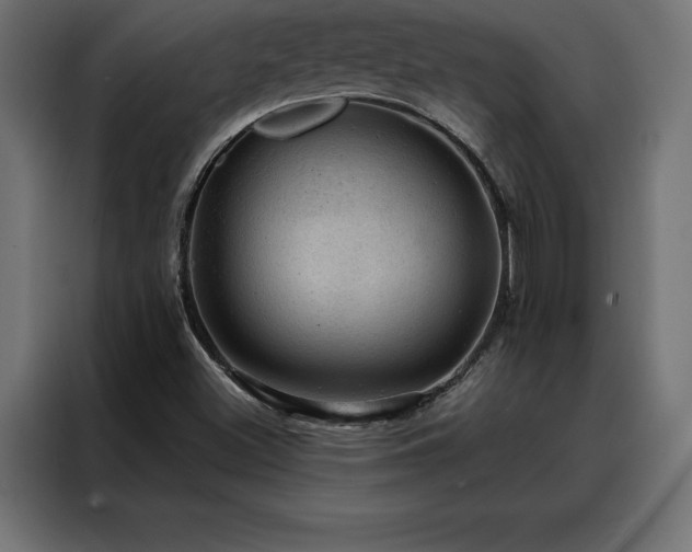 X0000088161500200705221550