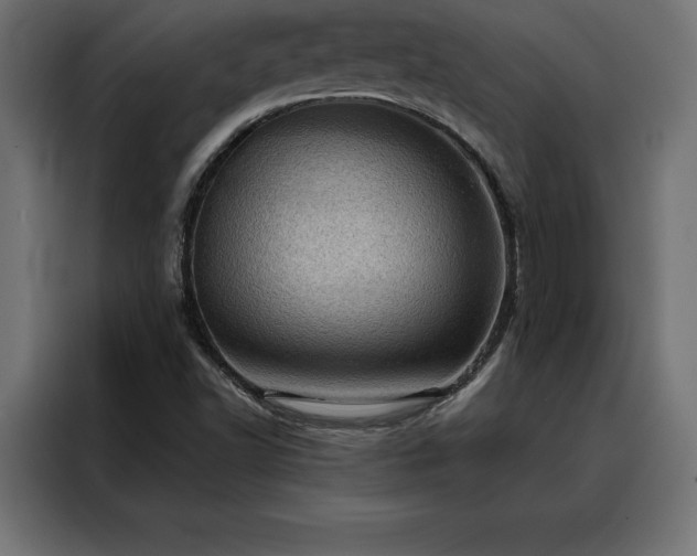 X0000088161502200705221550