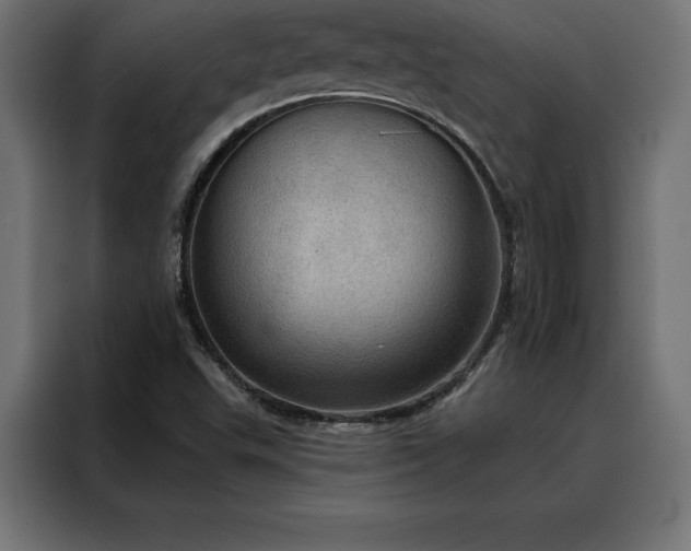 X0000088161503200705221550