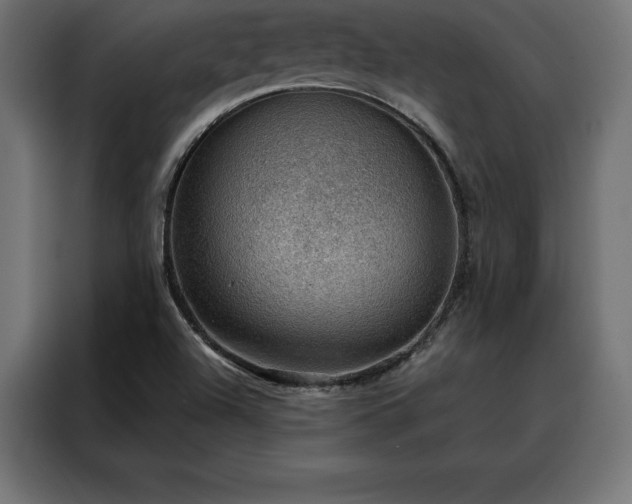 X0000088161504200705221550