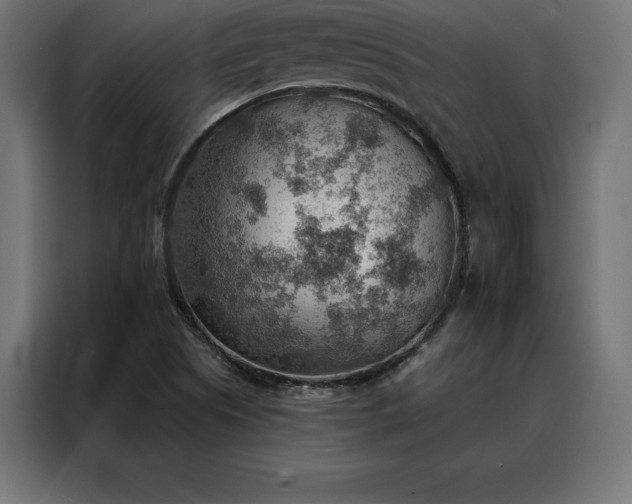 X0000088161505200705221550