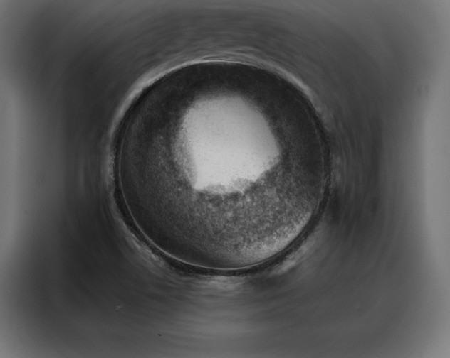 X0000088161506200705221550
