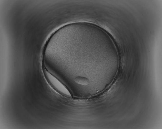 X0000088161508200705221550