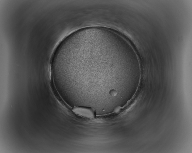 X0000088161509200705221550