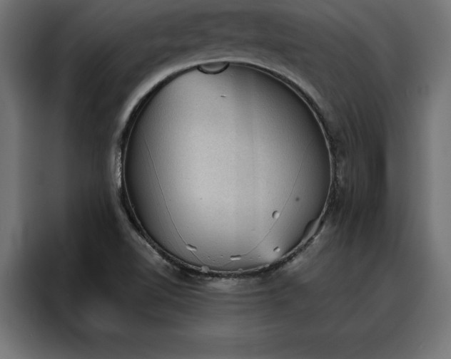 X0000088161510200705221550