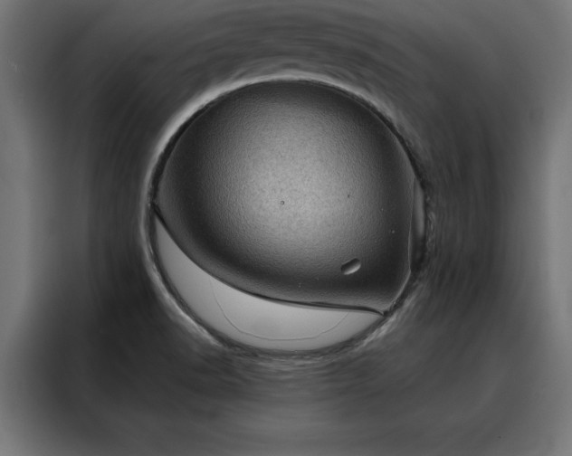X0000088161518200705221550