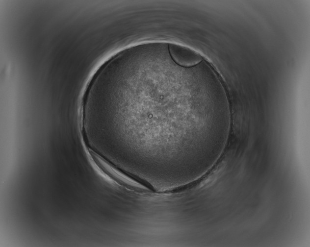 X0000088161519200705221550