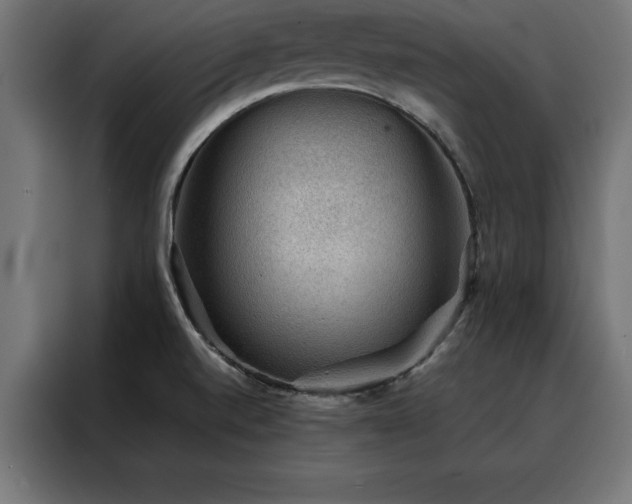 X0000088161520200705221550