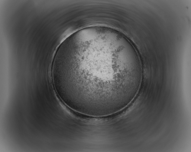 X0000088161521200705221550