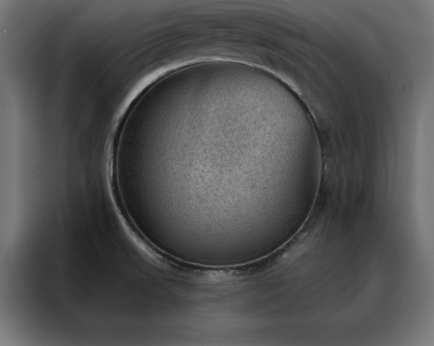 X0000088161523200705221550