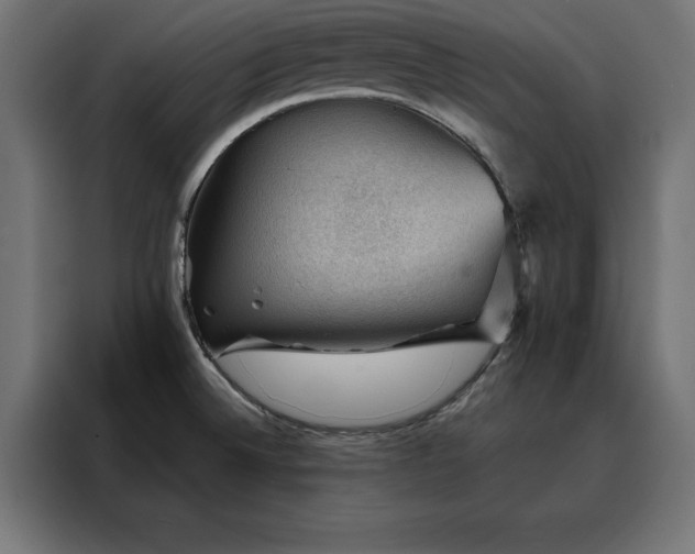 X0000088161524200705221550
