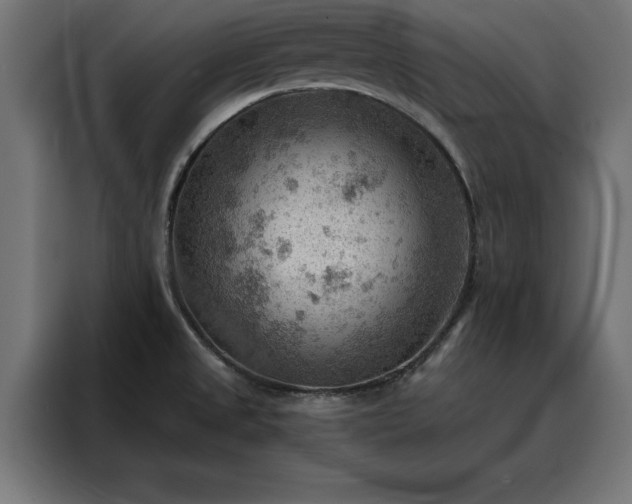X0000088161525200705221550