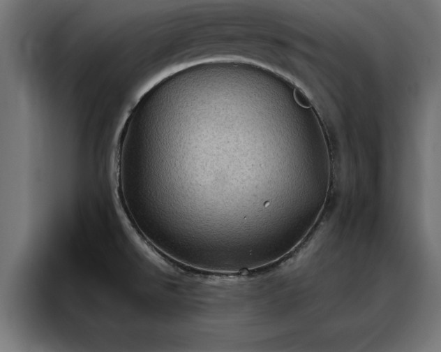 X0000088161526200705221550