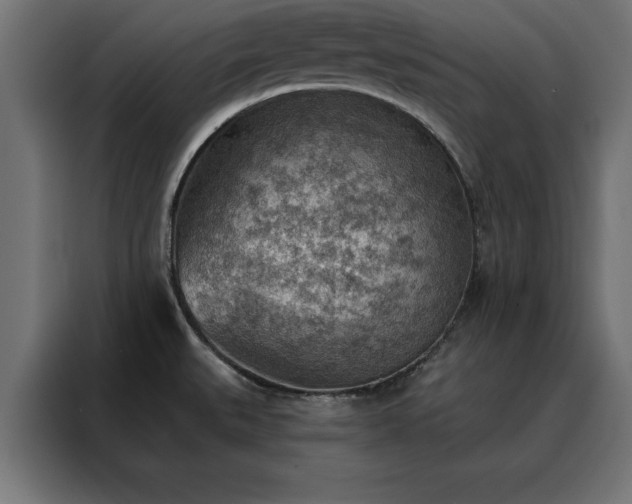 X0000088161527200705221550