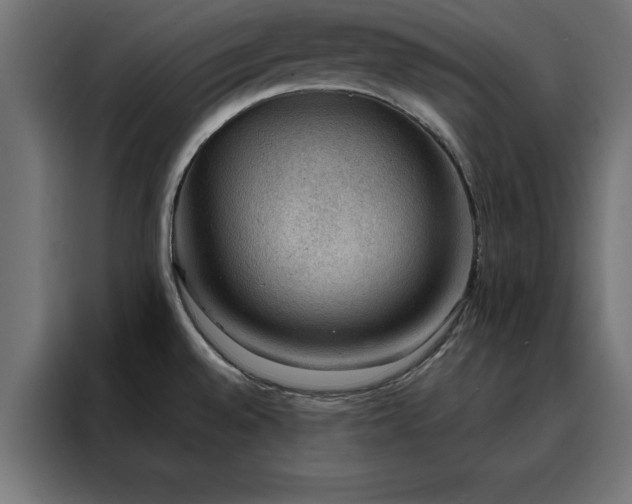 X0000088161528200705221550