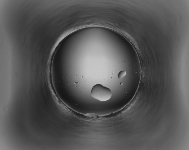 X0000088161530200705221550