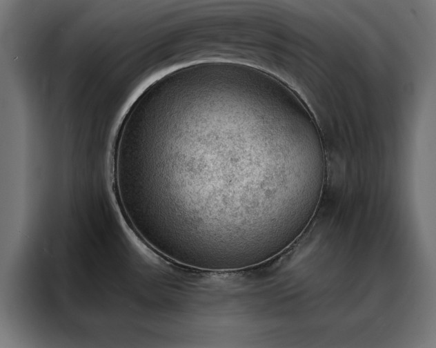 X0000088161531200705221550