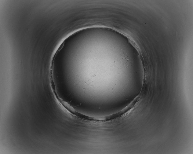 X0000088161532200705221550