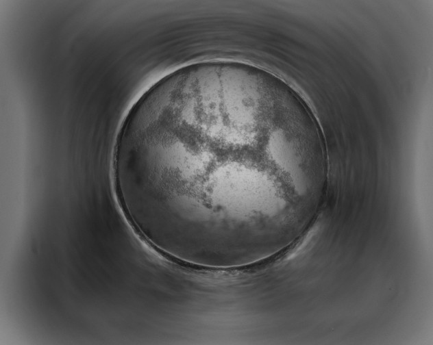 X0000088161533200705221550