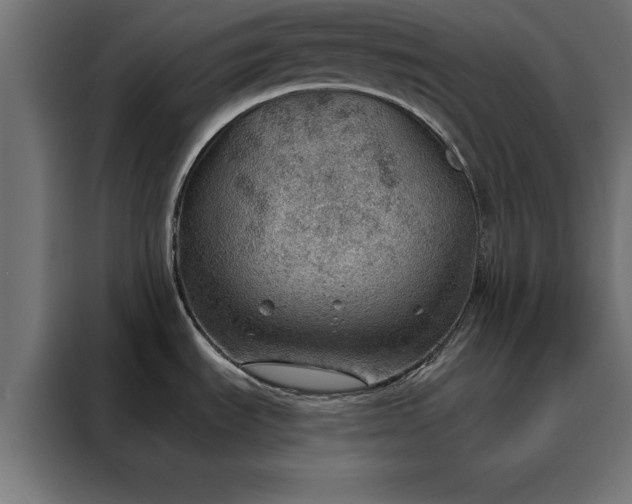X0000088161535200705221551