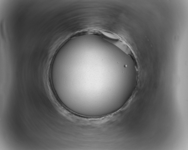 X0000088160001200705291921