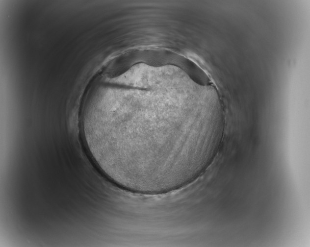 X0000088160002200705291921