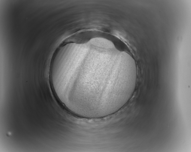 X0000088160003200705291921